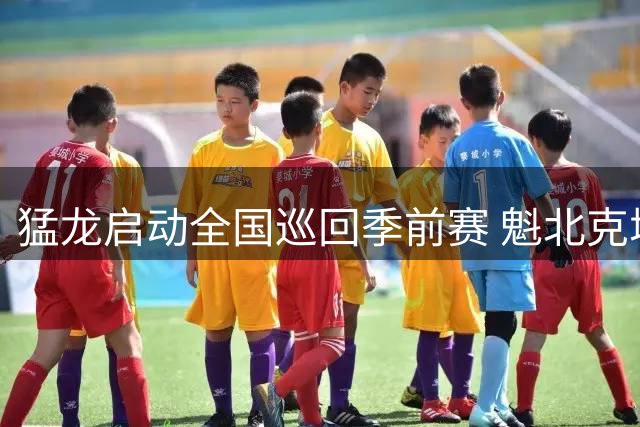猛龙启动全国巡回季前赛 魁北克城成新赛季训练基地